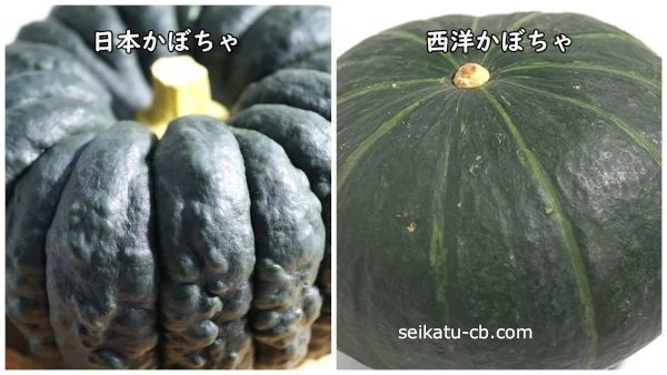 日本かぼちゃと西洋かぼちゃの画像