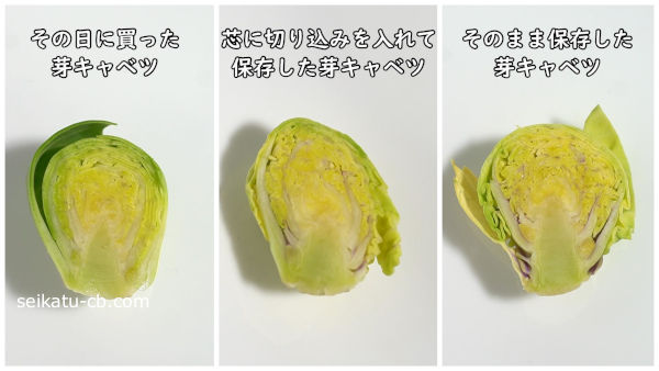 それぞれの保存方法で冷蔵保存した芽キャベツのカットした断面を比較