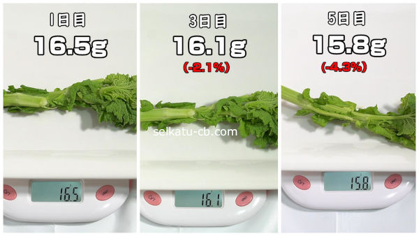 菜の花を常温保存した時の5日目までの重さの変化