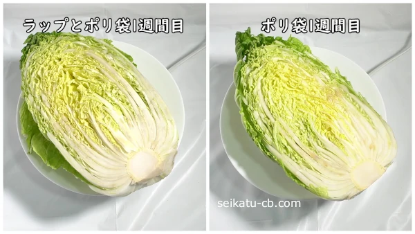 1週間保存したラップで包んだカット白菜と包まなかったカット白菜の違いを比較
