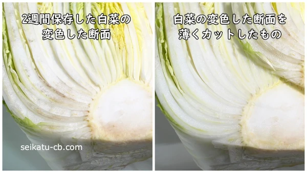 芯そのままで保存した白菜の変色した断面とその表面を薄くスライスしたものを比較