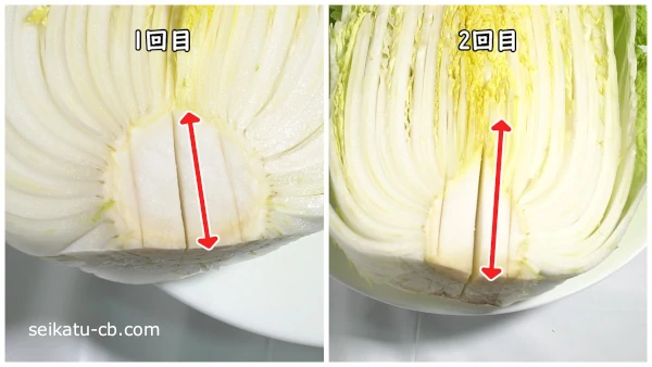 1回目と2回目の白菜の芯の切り込みの長さを比較