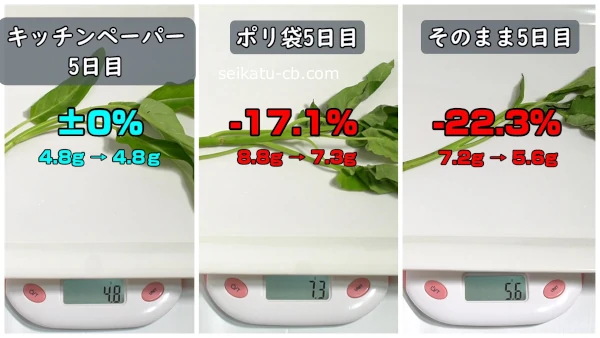 空心菜の保存方法ごとの重さの変化を比較