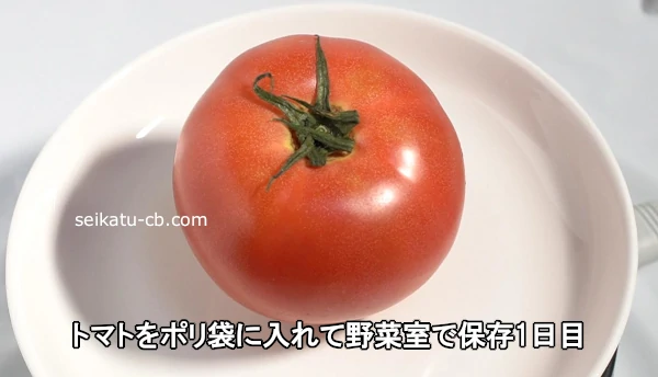 トマトをポリ袋に入れて野菜室で保存1日目