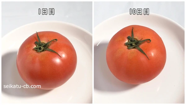 トマトをポリ袋に入れて野菜室で保存1日目と1週間目
