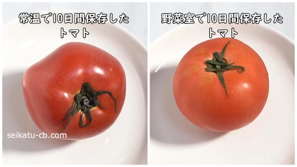 10日間常温保存したトマトと野菜室で保存したトマトの見た目の変化を比較