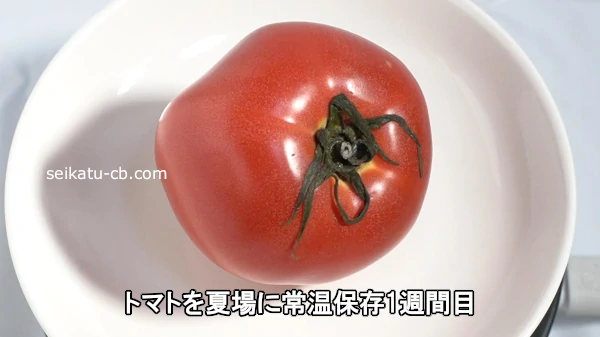 トマトを夏場に常温保存1週間目