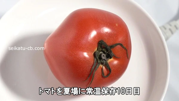 トマトを夏場に常温保存10日目