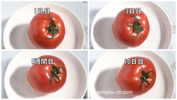 トマトを夏場に常温保存1日目から10日目
