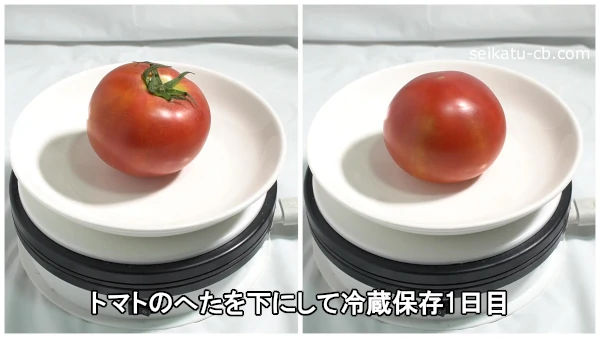 トマトのへたを下にして冷蔵保存1日目