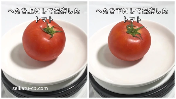 へたを上にして保存したトマトとへたを下にして保存したトマトを比較