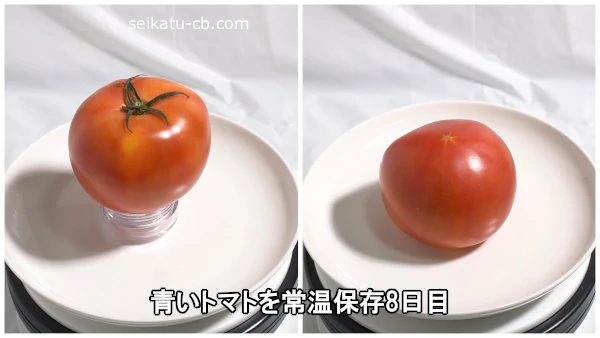 青いトマトを常温保存8日目
