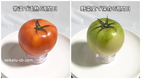 1週間常温で追熟した青いトマトと1週間野菜室で保存した青いトマトを比較