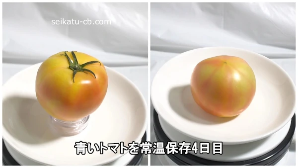 青いトマトを常温保存4日目
