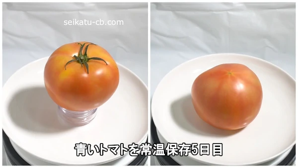 青いトマトを常温保存5日目