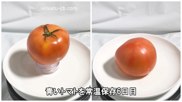 青いトマトを常温保存6日目