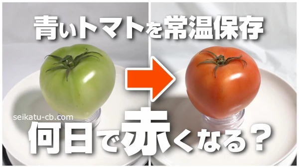 青いトマトを常温保存で追熟させたら何日で赤くなるの？リンゴと一緒がいいの？実際に検証してみた！