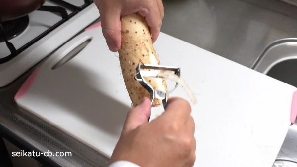 Ĺ������य