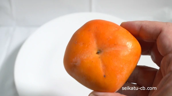 ������˽����Τ��ܤߤ�