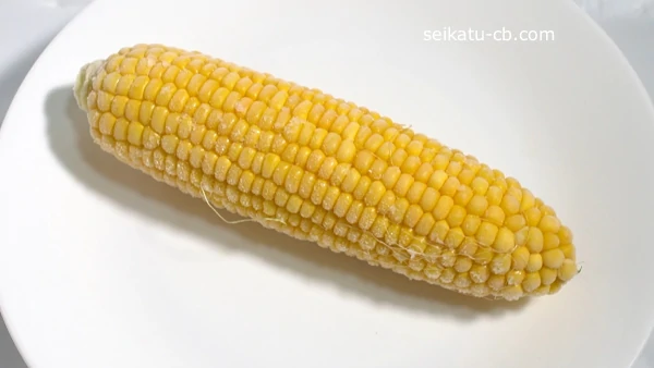 ���Τޤ����ष���Ȥ��������