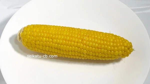 ���Τޤ����ष��觤Ǥ��Ȥ��������