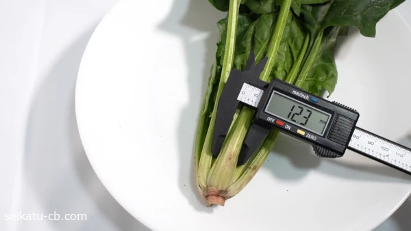 �Ԥ������ۤ�����������12.3mm