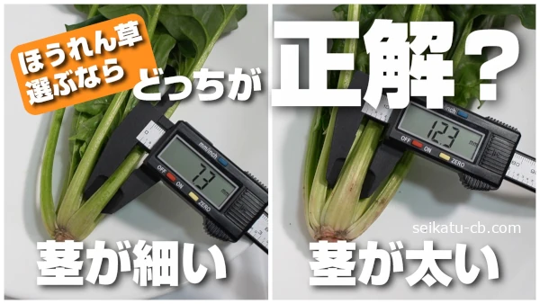 �Ԥκ٤��ۤ������������ۤ���������֤ʤ�ɤä������򡩼ºݤ˿�����٤Ƥߤ���ճ��ʻ��¤���