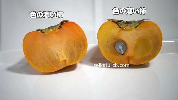 ����ǻ�����ȿ���������������