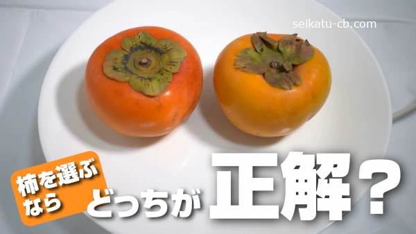 ����ǻ�����������������֤ʤ�ɤä������򡩴Ť������٤ΰ㤤�ϡ��ºݤ˿�����٤Ƥߤ���