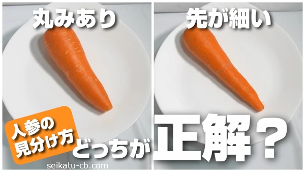 �ݤߤΤ���ͻ����褬�٤����äƤ���ͻ������֤ʤ�ɤä������򡩼ºݤ˿�����٤Ƥߤ���ճ��ʻ��¤���