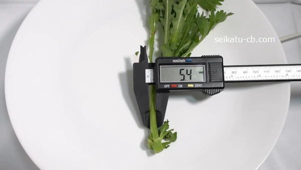 �Ԥκ٤��յƤ�������5.4mm