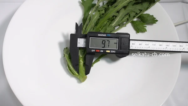 �Ԥ������յƤ�������9.7mm