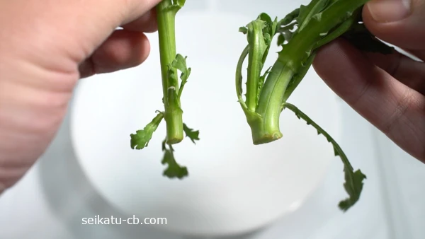 �Ԥκ٤��յƤ������յƤ����������