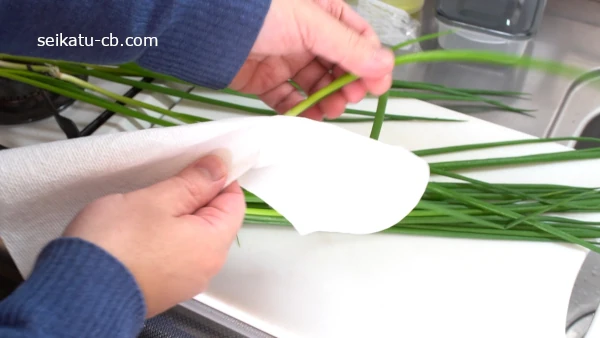 ���ä��ͤ���1�ܤ��ĥ��å���ڡ��ѡ��ǿ���