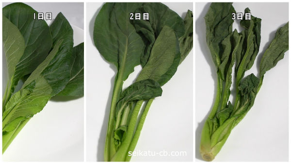 そのまま保存した小松菜の初日と2日目と3日目の比較