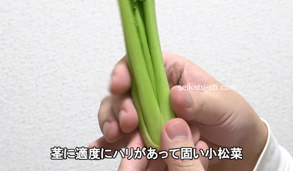 小松菜の茎がしっかりと固い