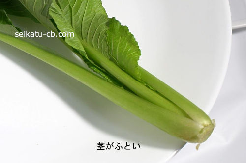 小松菜の茎が太い