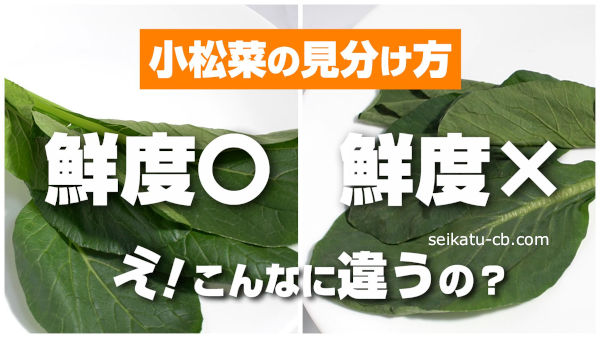 鮮度のいい小松菜と鮮度の悪い小松菜の画像