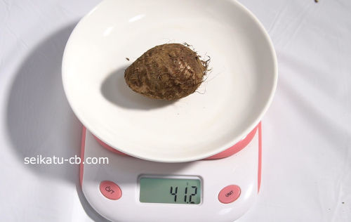 里芋を新聞紙で包んでポリ袋に入れて常温保存1日目の重さは41.2g