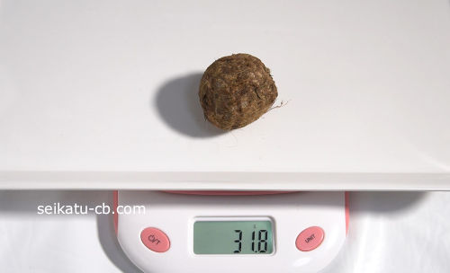 里芋を新聞紙で包んで湿らせ、ポリ袋に入れて常温保存1日目の重さは31.8g