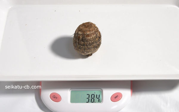 そのまま野菜室で保存した里芋10日目の重さは38.4gです。