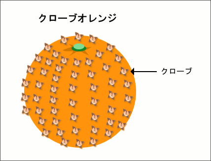 クローブオレンジの画像