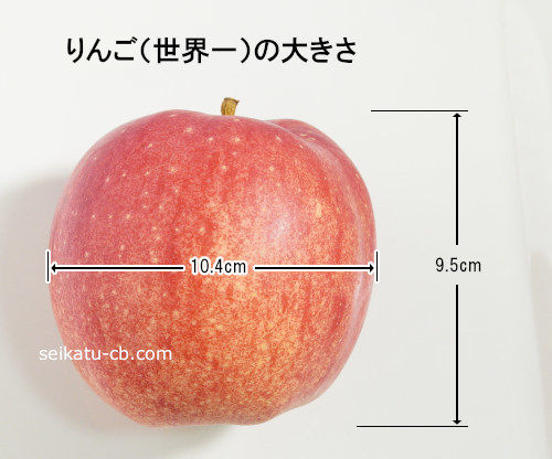 世界一りんご1個の大きさ