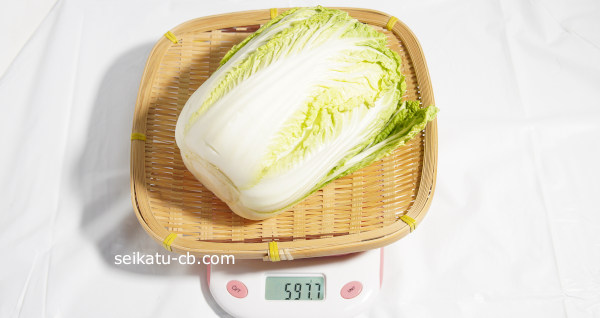 小さな白菜1個・1玉の重さは597.7g