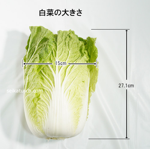 白菜の大きさ