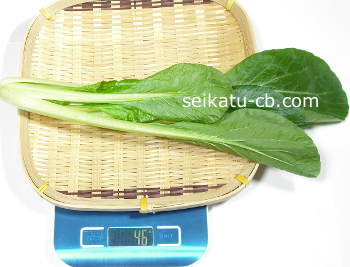 小松菜一株小さめの重さは46g