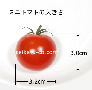 ミニトマト1個の大きさ