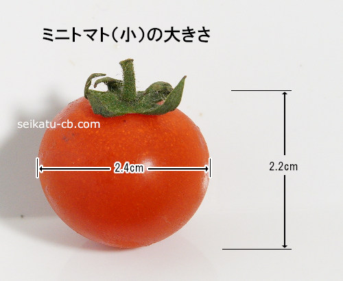 小（S）サイズミニトマト1個の大きさ