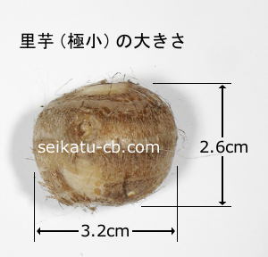 極小（2S）サイズの里芋1個の大きさ