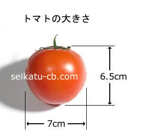 トマト1個の大きさ